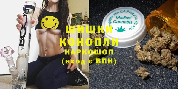 шишки Алзамай
