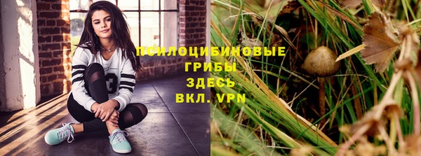шишки Алзамай