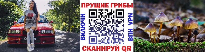 Псилоцибиновые грибы MAGIC MUSHROOMS  Болохово 