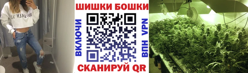 мега ONION  Болохово  Канабис план 
